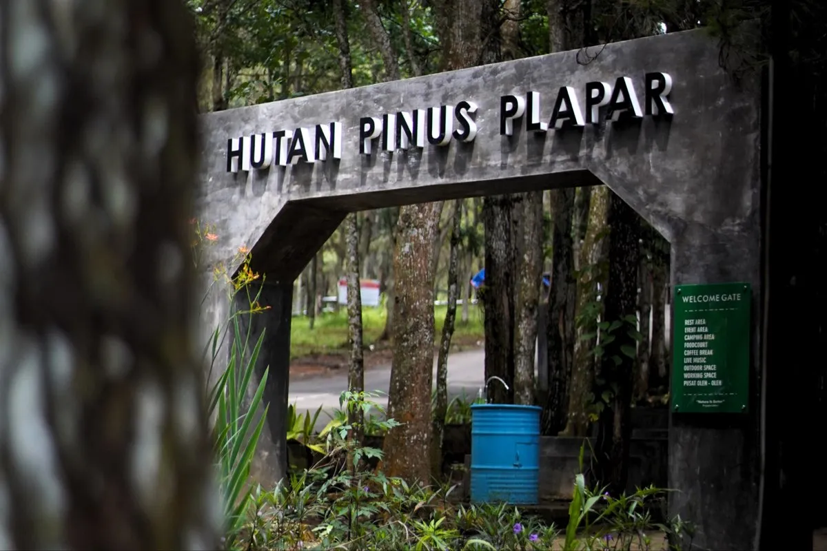 Gerbang kayu dengan papan nama
